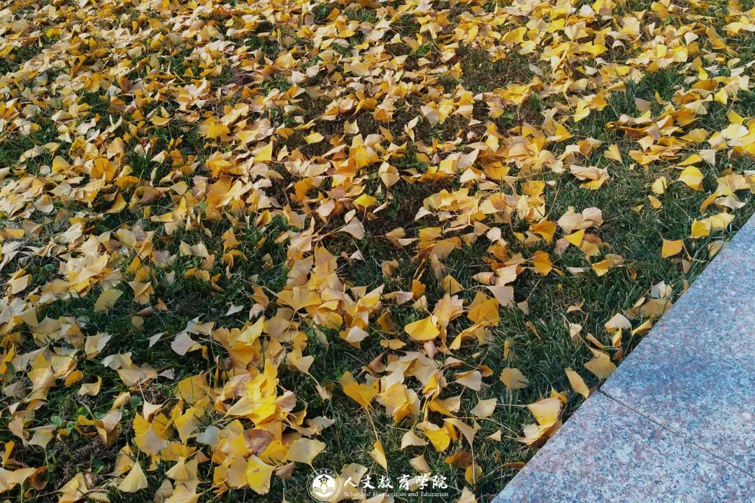 一花一世界