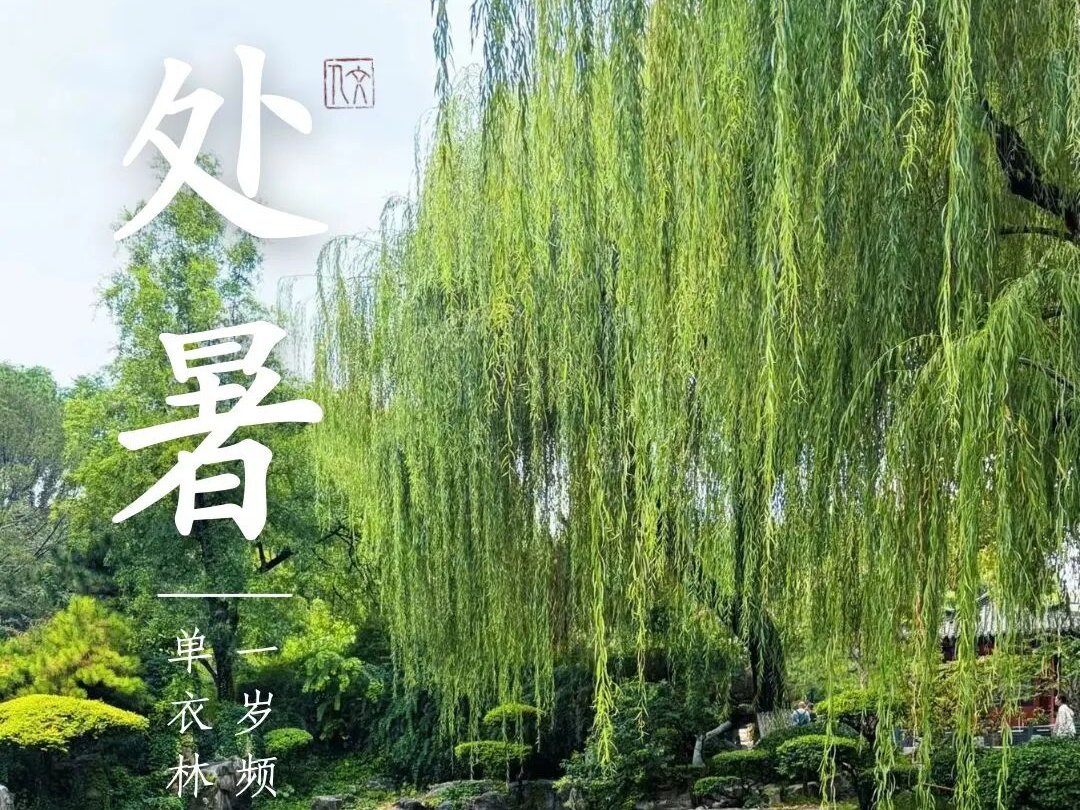 如某条暂不可用