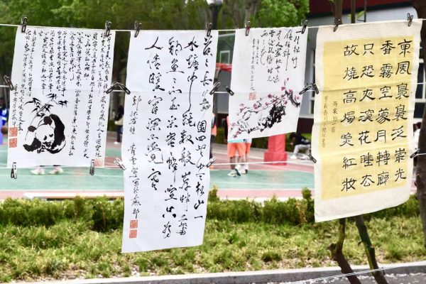 华彩赢家app下载安装最新优惠整体就