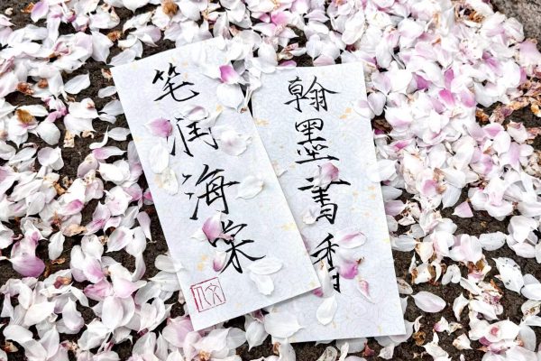 学前华彩赢家app下载安装最新优惠专